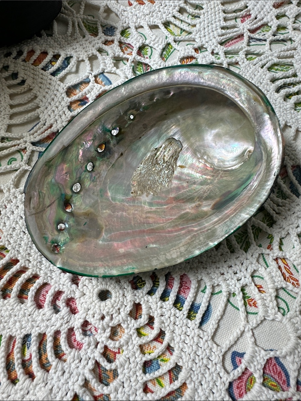 Iridescent Abalone Shell Decorative Bowl - White/Green